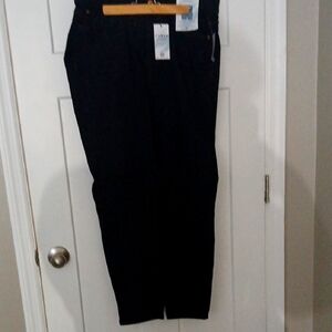 Curve Appeal PETITE Black Pants